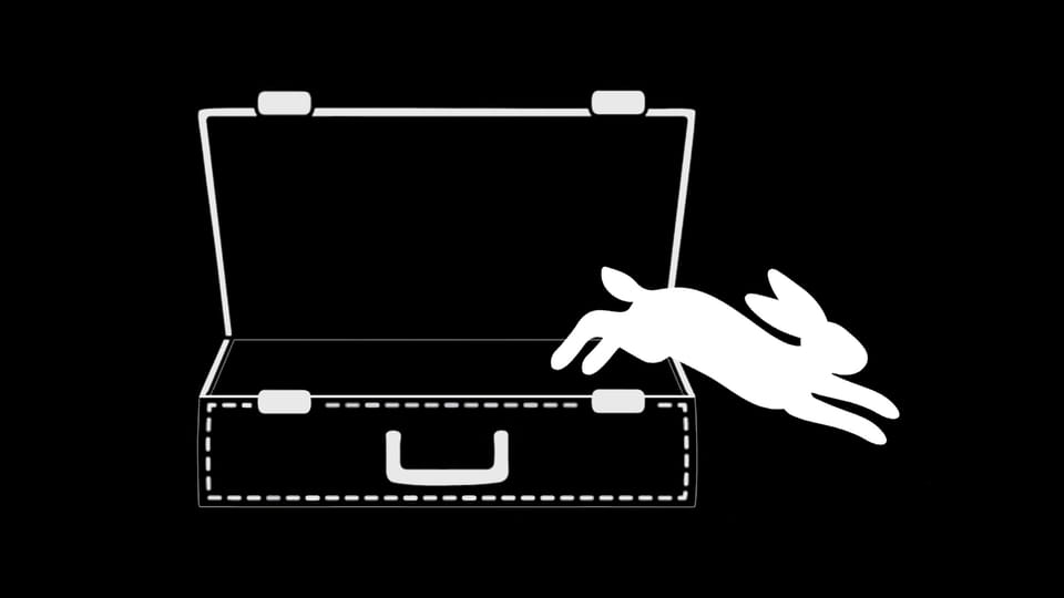 The Rabbit in the Box